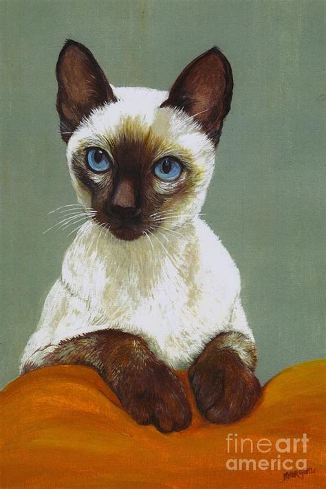 Siamese Cat Painting by Morgan Fitzsimons - Fine Art America