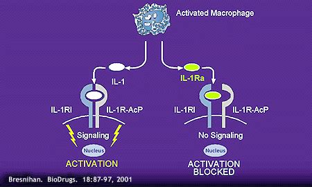 Interleukin-1 Inhibition at Treatment for Rheumatoid Arthritis on Johns ...