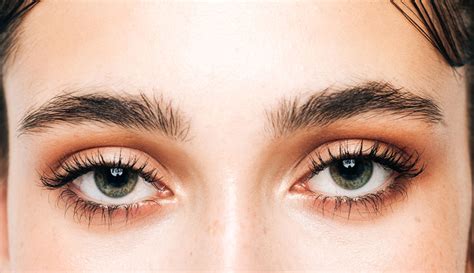 Brow Serums Are More Affordable Than Ever | Well+Good