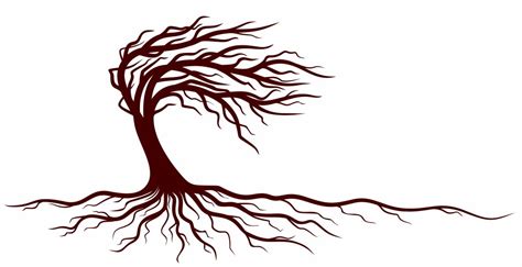 Tree Roots Vector Images (over 18,000)