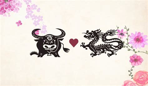 Ox Man Dragon Woman Long-Term Compatibility