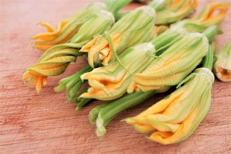 Fried courgette flowers – Fiori di zucca fritti – CARRY IT LIKE HARRY