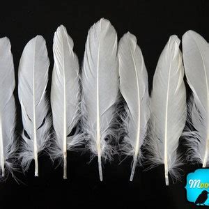 White Goose Feathers, 1 Pack WHITE Goose Satinettes Loose Feathers 0.3 ...