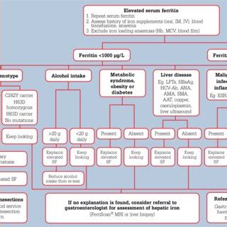 Algorithm for the investigation and management of elevated serum ...