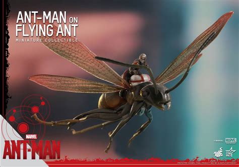 Hot Toys Ant-Man on Flying Ant Miniature Figure! - Marvel Toy News