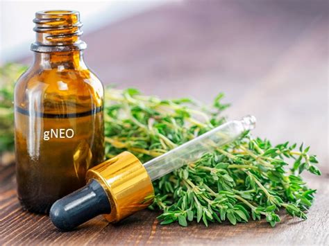 Red Thyme essential oil has strong antiseptic, antibacterial, antispasmodic, and hypertensive ...