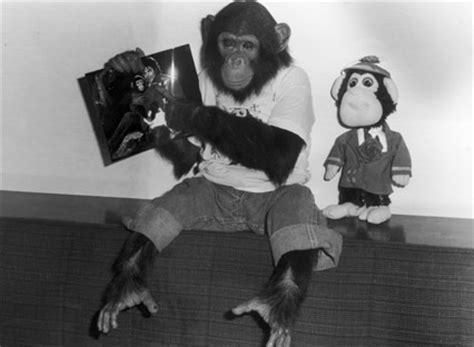 Bubbles Jackson - Bubbles the Chimp Photo (29675535) - Fanpop