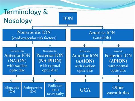 PPT - Ischemic Optic Neuropathy PowerPoint Presentation - ID:1936711