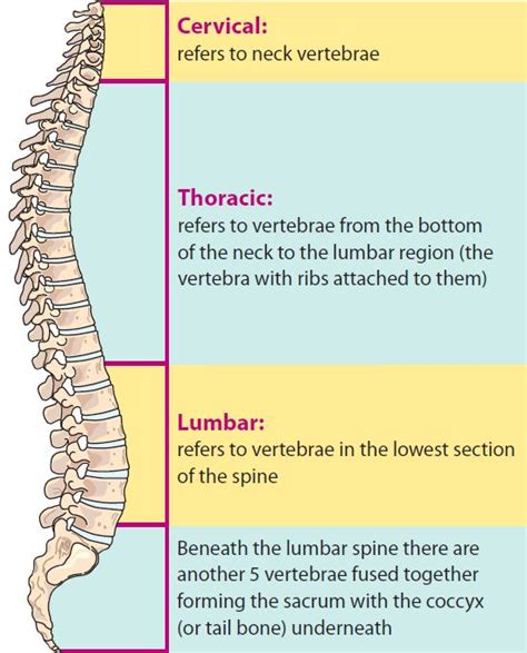 Private Lumbar Spine Surgery