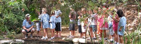 Summer Nature Adventure Camp (K – 3rd grade) | Environmental Nature Center