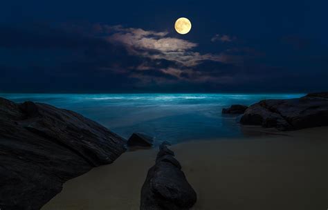 Ocean Moon Wallpapers - Top Free Ocean Moon Backgrounds - WallpaperAccess