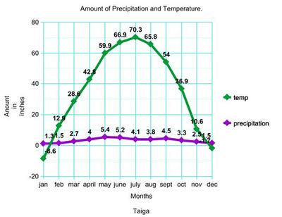 Temperature & Precipitation - boreal forest biome