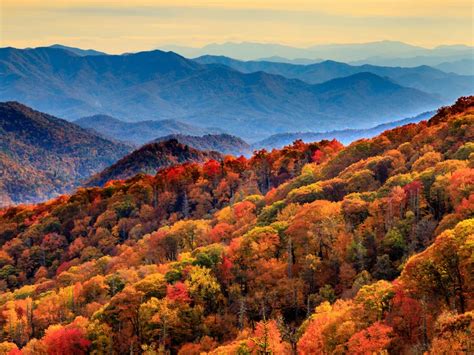The Great Smoky Mountains in the Fall | Smithsonian Photo Contest | Smithsonian Magazine