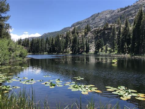 Photos of Thousand Island Lake via PCT - California | AllTrails