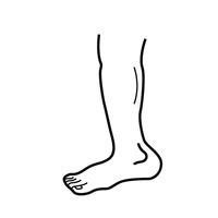 Image result for leg outline | Legs, Outline, Image