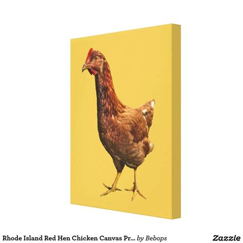 Rhode Island Red Hen Chicken Canvas Print | Zazzle | Canvas prints, Rhode island red hen, Rhode ...