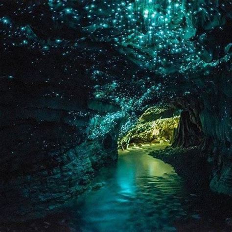 Waitomo Glowworm Caves – Waitomo, New Zealand - Atlas Obscura