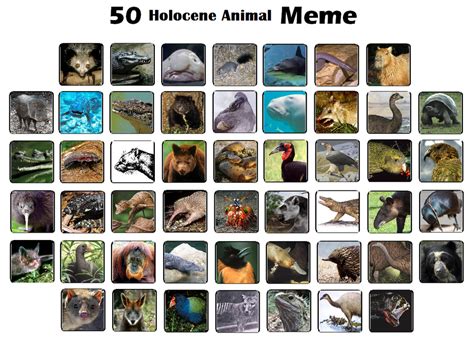 50 Holocene Animal Meme by Tyrannotitan333 on DeviantArt