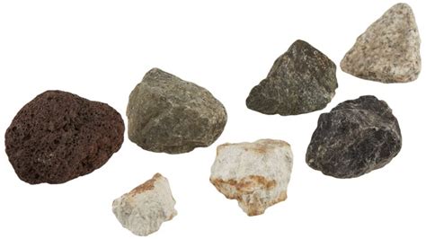 Types of Aquarium Rocks | How to Choose Suitable Rocks » 2024