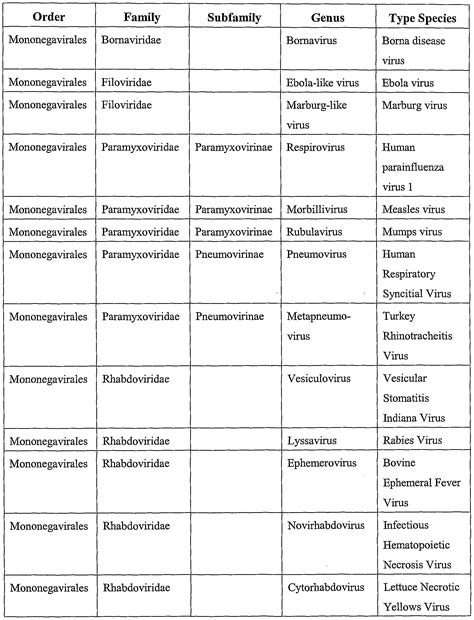 Patent WO2001083794A2 - Dna transfection system for the generation of infectious influenza virus ...