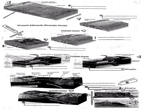 Geology Exam 3 - Orogeny Diagram | Quizlet