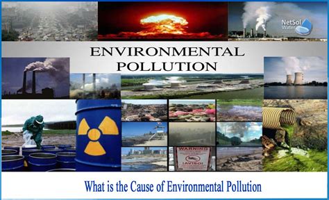 What is the cause of environmental pollution - Netsol Water