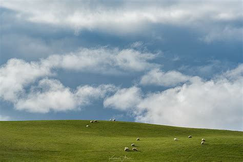 5120x2880px | free download | HD wallpaper: Windows XP, blue, sheep, landscape | Wallpaper Flare