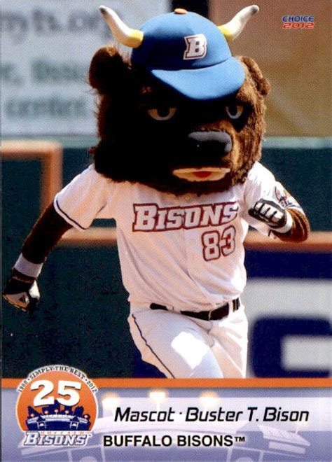 2012 Buffalo Bisons Choice #30 Buster T. Bison Mascot - NM Baseball ...