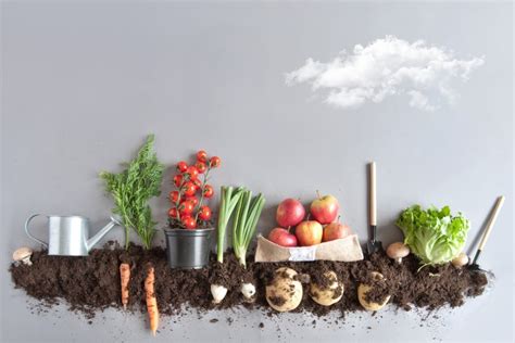 Compost vs. Fertilizer: Which is Best for My Yard & Garden? - shelf