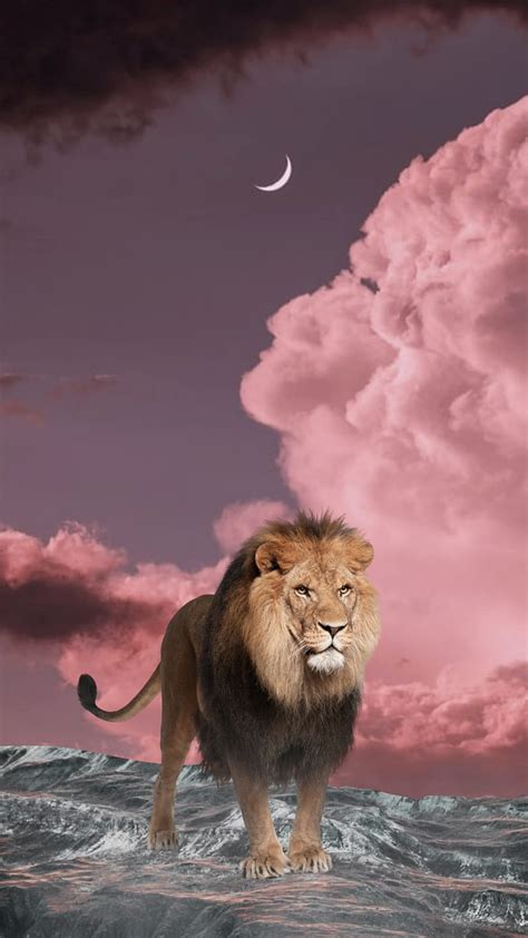 LİON, "lion, OzEdits, Pink", animal, cloud, life, moon, purple, rock ...