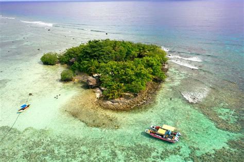 Black Coral Island – Pohnpei Eco-Adventure Guide