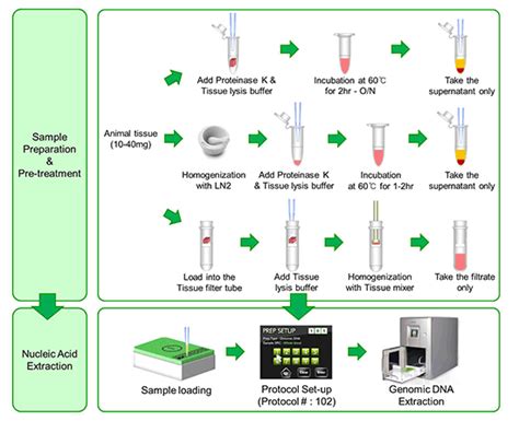 ExiPrep Plus Tissue Genomic DNA Kit - from Bioneer