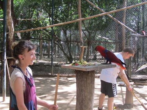 Volunteering Thailand, wildlife rescue center | Responsible Travel