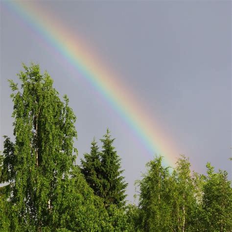 Rainbow refraction of light free image download