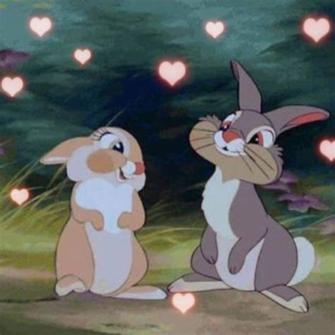 Thumper In Love