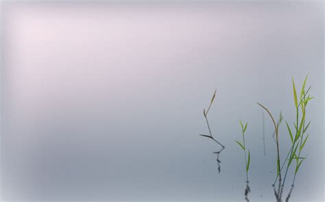 The Light of Zen | Zen wallpaper, Zen background, Zen