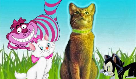 List of 5: Best Disney Cats – The Reel Bits