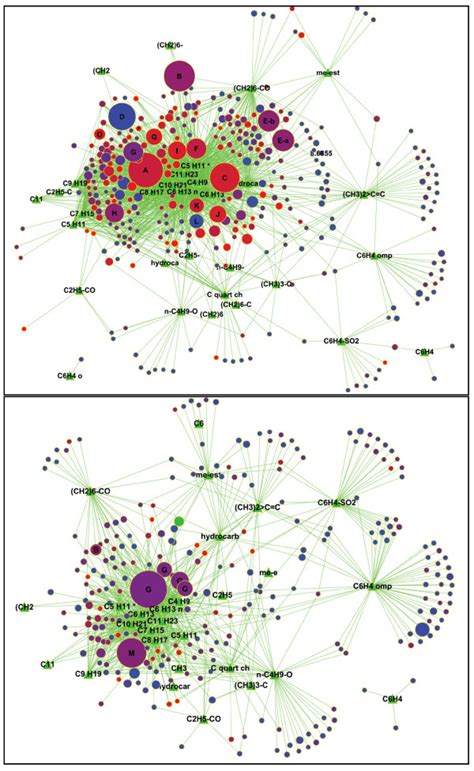 Substructure annotation network of Botryococcus braunii (upper panel ...