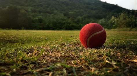 Tennis Ball Cricket Wallpapers Hd - animaisdebem