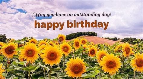 Happy Birthday Picture With Sunflowers | Happy birthday pictures, Pictures with sunflowers ...