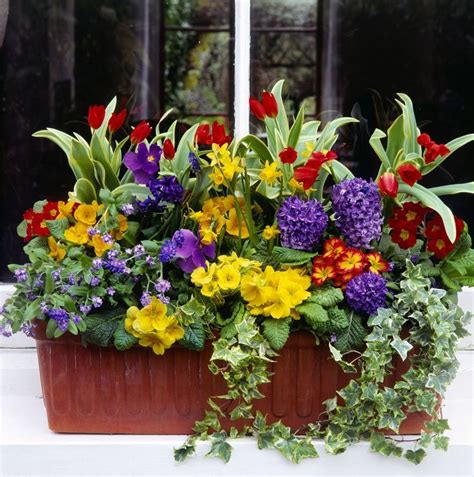 21 Gorgeous Window Box Ideas for Colorful Flowers | Window box flowers, Container flowers ...