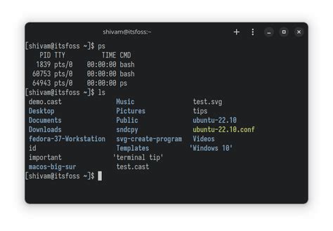 10 Best Fonts for Linux Terminal