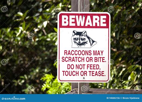 Beware of raccoons sign stock photo. Image of beware - 94686156