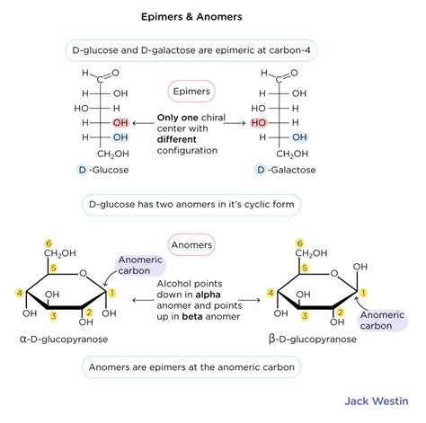 Epimers And Anomers - Carbohydrates - MCAT Content