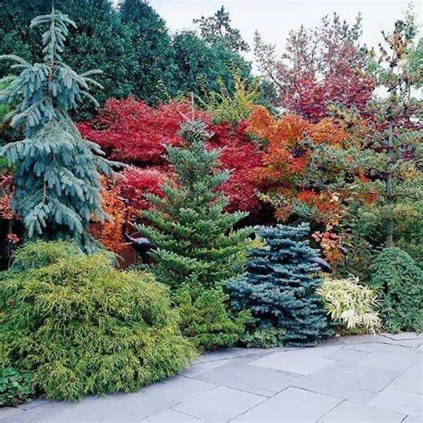 Garden And Lawn , Beautiful Garden With Evergreen Shrubs : Beautiful ...