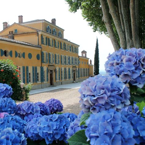 Réservez une excursion privée avec Provence Wine Tours