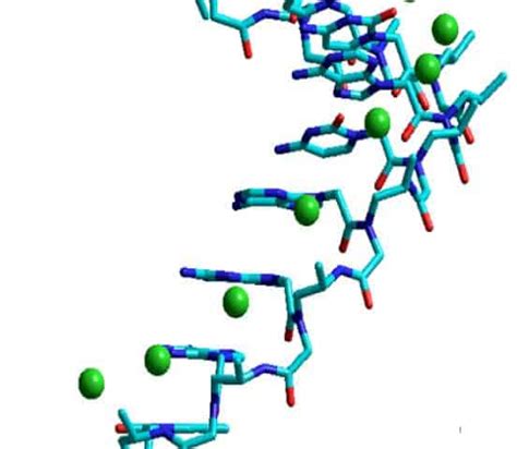 New gene-editing technology successfully cures genetic disorder in mice ...