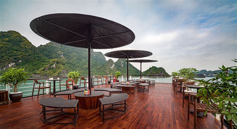 Orchid Luxury Day Cruise - Orchid Cruise Halong Bay - Official Page