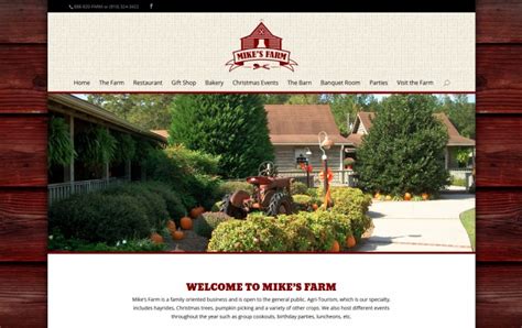 Mike's Farm Restaurant - 17Blue Digital Agency