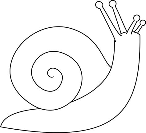 Snail clipart. Free download transparent .PNG | Creazilla